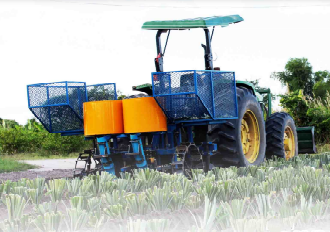 mesin penanam nanas