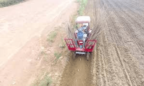 jual implement penanam singkong