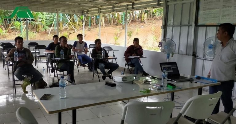 PT.-SAHABAT-AGRITAMA-4-p4cb1l4aiz1x09u1m4alnu3muqw3oiqrbtweb09xxc